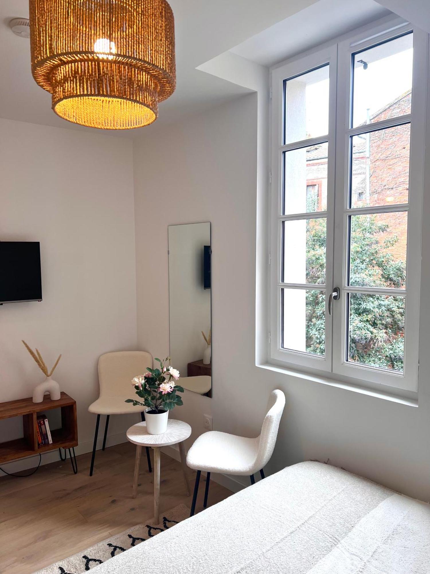 Le Saphir Lejlighed Toulouse Eksteriør billede